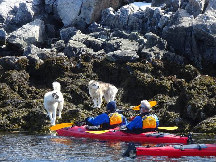 Poseidon Expeditions @ Ida Olsson_Arctic_West Greenland _1_.JPG